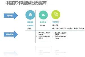 科技賦能云茶產業 重大專項驅動精深加工與健康研究雙突破